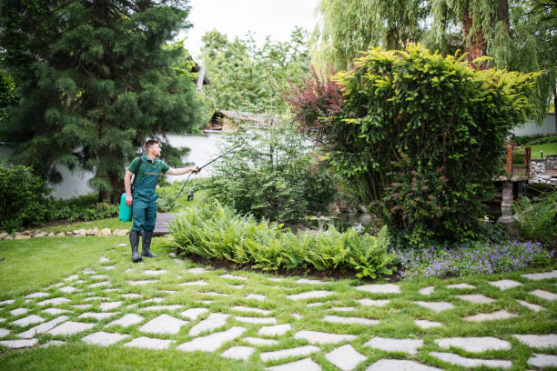 Best Ant Control Services  in Apison, TN