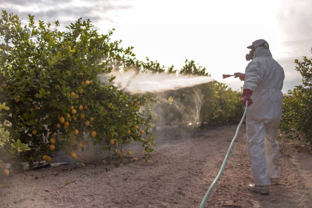 Best Pest Removal Services  in Apison, TN