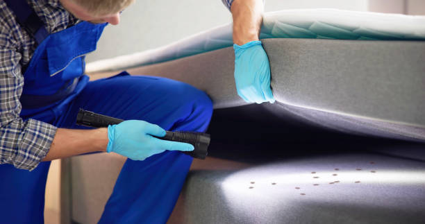 Best Best Pest Control Companies  in Apison, TN