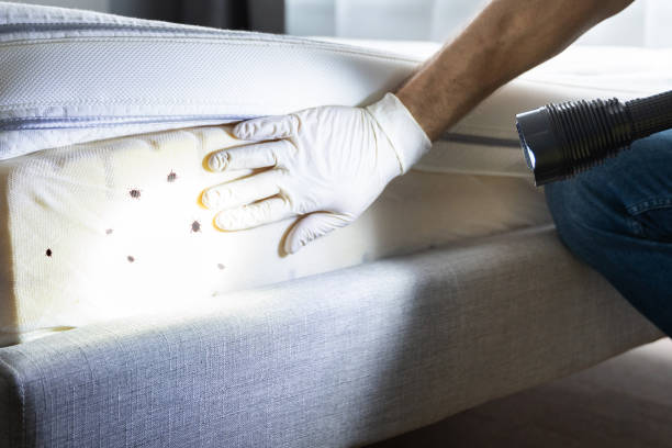 Best Affordable Pest Control Services  in Apison, TN