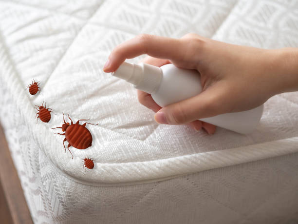 Reliable Apison, TN Pest Control Solutions
