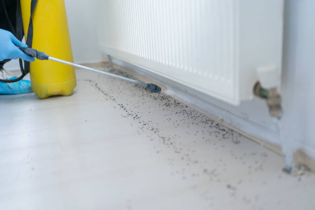 Best Emergency Pest Control  in Apison, TN