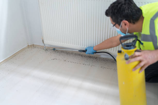 Best Cockroach Control Services  in Apison, TN