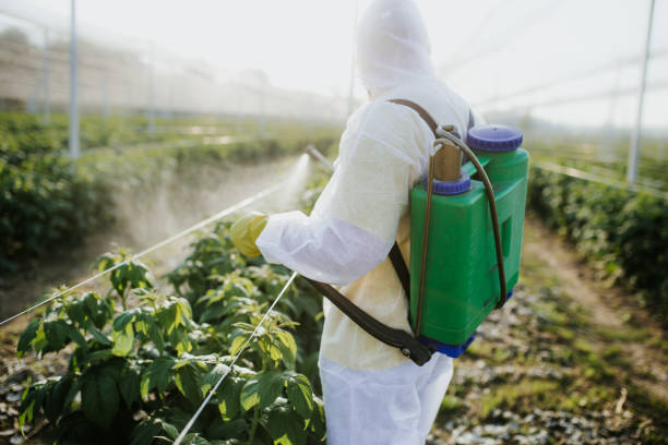 Best Local Pest Control Services  in Apison, TN